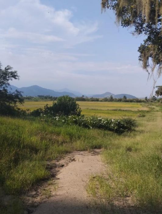Sítio - Venda - Barreiros do Rio Duna - Imaruí - SC