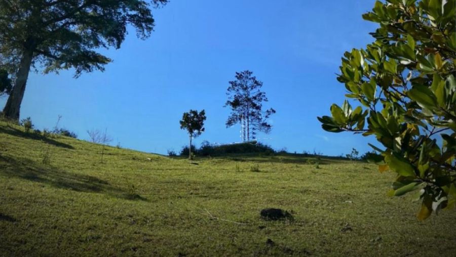Terreno - Venda - Riacho de Ana Matias - Imaruí - SC